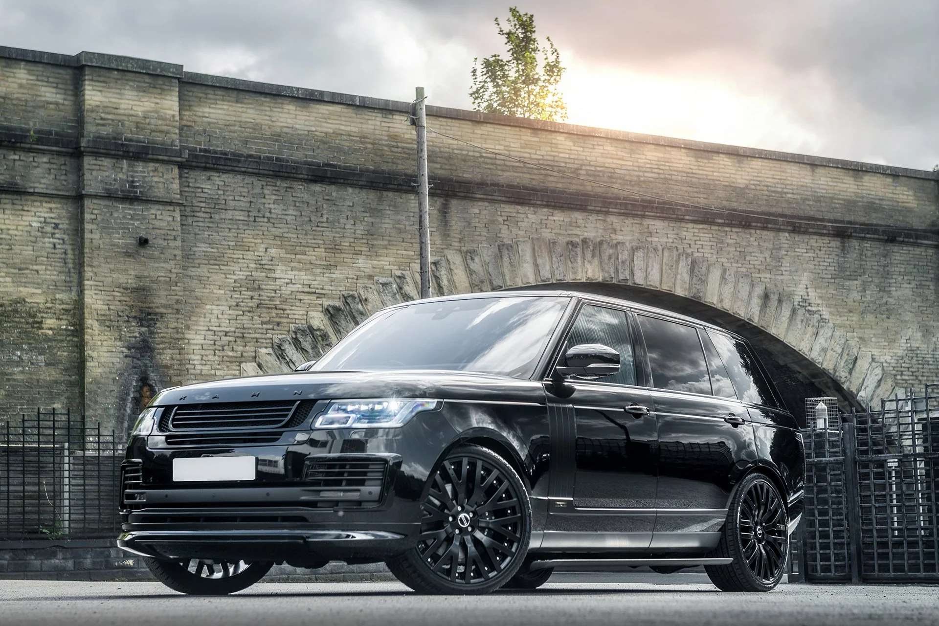 Range Rover (2018-2022) Exposed Carbon Front Grille - Image 4